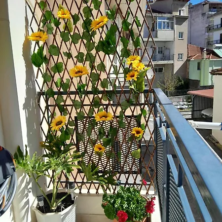 Apartman Neossia - Escape